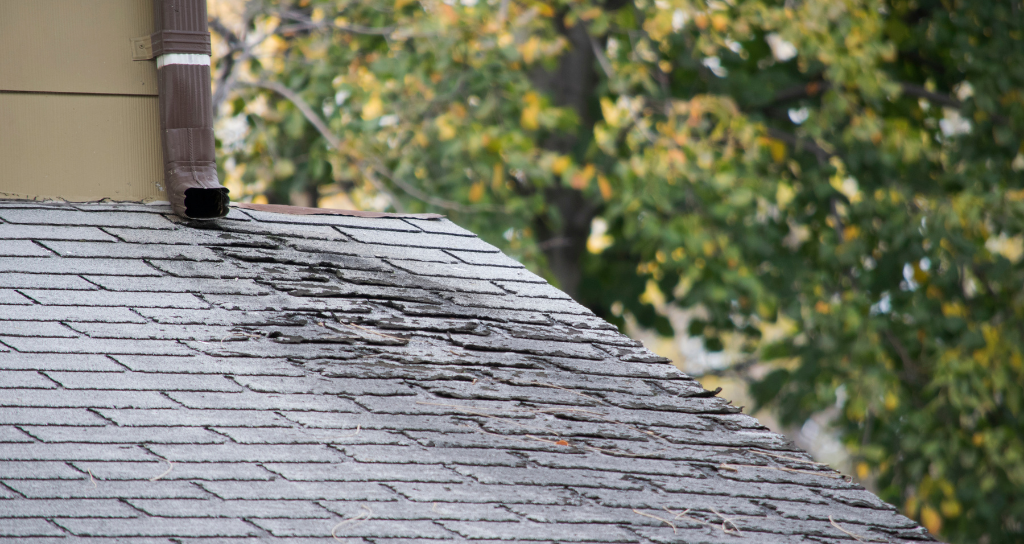 roof repair needed for damaged shingles