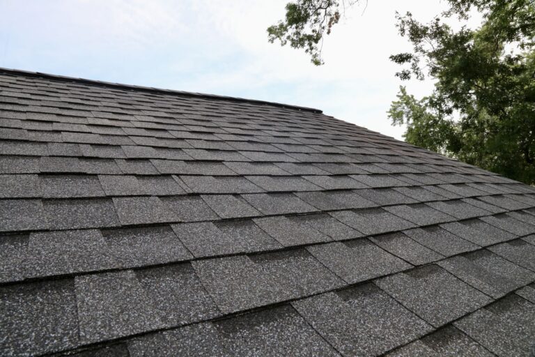 asphalt shingle roof