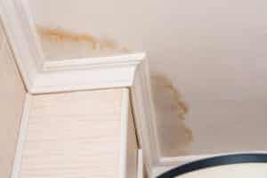 Roof Water Damage